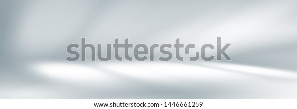 Soft Gray Studio Room Background Grey Stock Illustration 1446661259