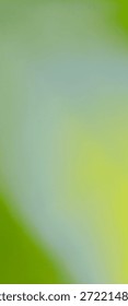 Fondo degradado abstracto verde