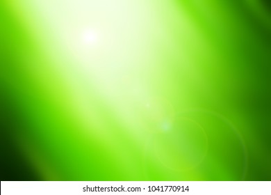 soft green gradient background  Backdrop template wallpaer 