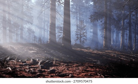 Soft rays of sunlight break through towering trees in a peaceful forest. The ground is covered in moss and rocks, creating a tranquil atmosphere. A sense of calm envelops the scene.