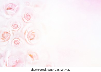 Soft Rose Flower Background Copy Space Stock Illustration 1464247427 ...