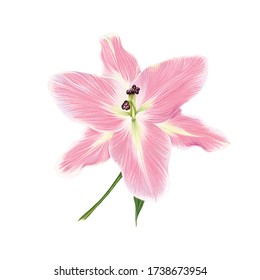 クレヨン 花 のイラスト素材 画像 ベクター画像 Shutterstock