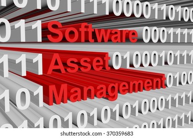 Software Asset Management In The Form Of Binary Code, 3D Illustration