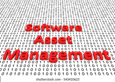 Software Asset Management In The Form Of Binary Code, 3D Illustration