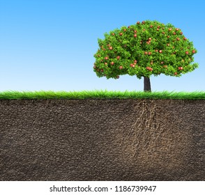 soil with apple tree and roots 3D illustration