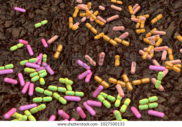 Soil bacteria of\
different species, the source of recently discovered antibiotic\
malacidin, 3D\
illustration