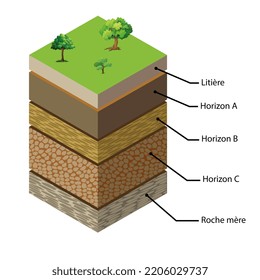 Soil Formation, Also Known As Pedogenesis, Is The Process Of Soil Genesis As Regulated By The Effects Of Place, Environment