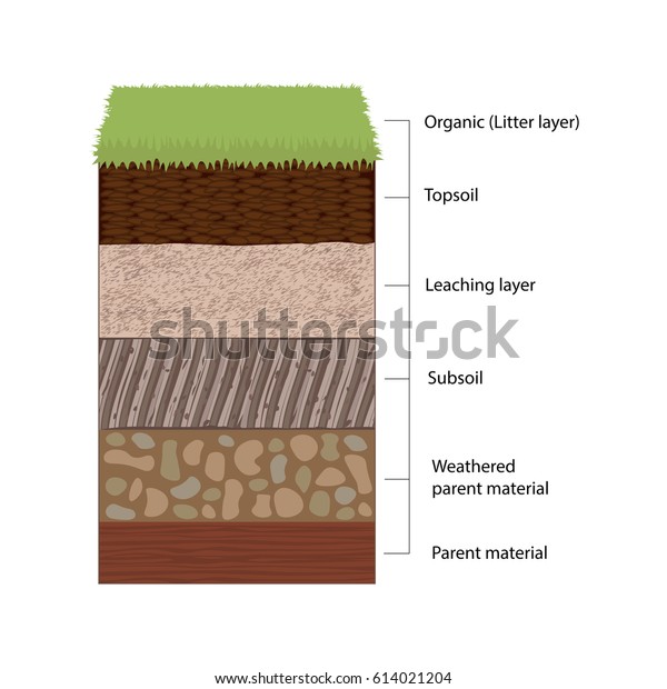 Soil Horizons Distinct Layers Soil Stock Illustration 614021204