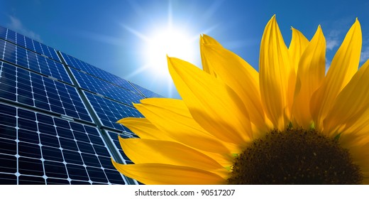 Solar panels and Sunflower against a sunny sky