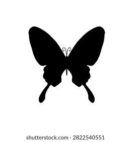 Solid black background filling the full frame, simple dark backdrop with empty space for text or design