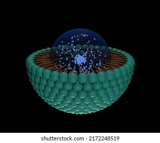 Solid Lipid Nanoparticle With Nanodrugs Carrier 3d Rendering