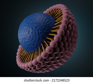 Solid Lipid Nanoparticle With Nanodrugs Carrier 3d Rendering