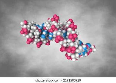 Solution-state Structure Of A Dna Dodecamer Duplex Containing A Cis-syn Thymine Cyclobutane Dimer. Space-filling Molecular Model. Rendering Based On Protein Data Bank Entry 1ttd. 3d Illustration