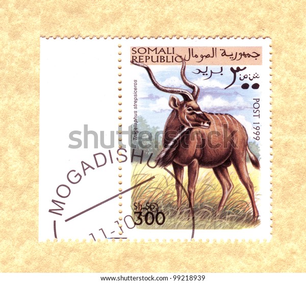 Somali Circa 1999 Stamp Printed Somali Stock Illustration 99218939 ...