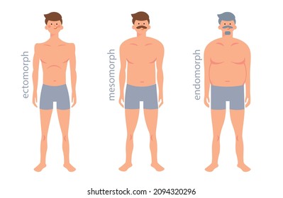 Somatic types, shapes of human body: ectomorph, mesomorph, endomorph.  Male figure types set. Illustration.