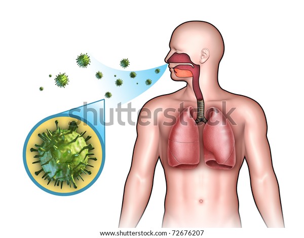 鼻から呼吸器系に侵入するウイルス デジタルイラスト のイラスト素材