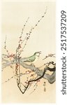 Songbird and plum blossom by Ohara Koson. Ohara Koson famous woodblock print of bird with flower. Vintage woodblock art print. Vintage Japanese illustration. Vintage art. Animal illustration.