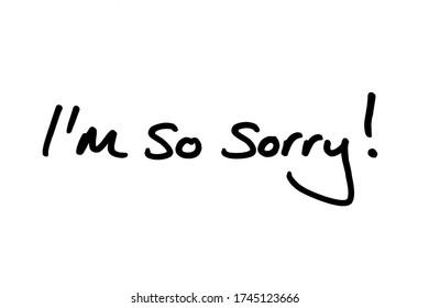 160 Apology condolence Images, Stock Photos & Vectors | Shutterstock