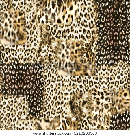 sorunsuz afrika tüylü leopar deseni Stok fotoğraf © 