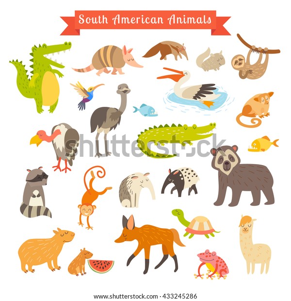 南アメリカの動物のイラスト アメリカの哺乳類を育てる 大きいセット 白い背景に Sourth Americaの動物の漫画スタイル 未就学児 赤ちゃん 大陸 旅行 描画 動物のアイコン のイラスト素材