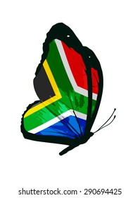 South Africa Flag Butterfly Stock Illustration 290694425 | Shutterstock