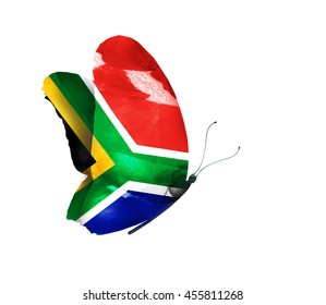 1,087 South african flag drawing Images, Stock Photos & Vectors ...