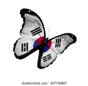 South Korea flag butterfly flying, isolated on white background