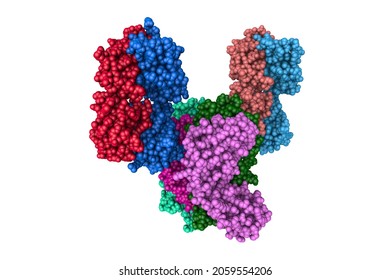 Spacefilling Molecular Model Canakinumab Human Monoclonal Stock ...