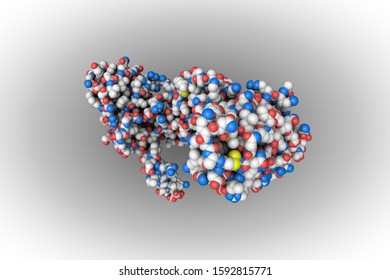 Space-filling Molecular Model Of The Prefusion Form Of Measles Virus Fusion Protein. Scientific Background. 3d Illustration