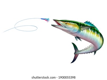 Spanish Mackerel wahoo green attacks Bait Sea Swim Squids realistic illustration isolate. Oceanic big mackerel green predatory fish with open mouth.