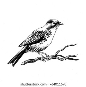 Bird On Tree Branch Ink Black Stock Illustration 1060597448 | Shutterstock
