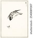 Sparrow illustration. Pictorial Monograph of Birds (1885) by Numata Kashu (1838-1901). Vintage Japanese sparrow bird illustration, art drawing print, old Japanese bird illustration, drawing.