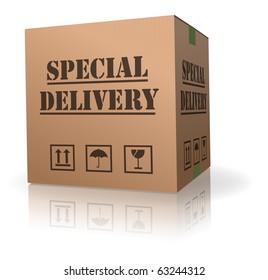 Special Delivery Important Shipment Special Package Sending Express Shipping