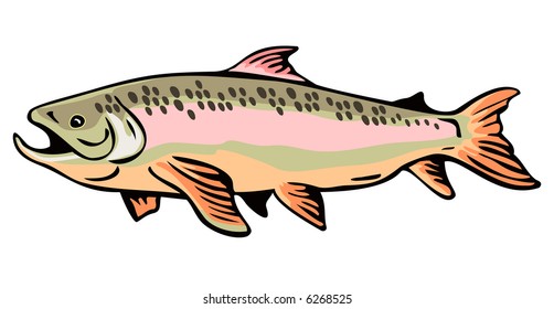 56 Speckled sea trout Stock Illustrations, Images & Vectors | Shutterstock