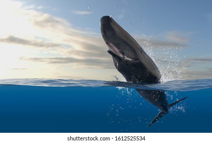 マッコウクジラ のイラスト素材 画像 ベクター画像 Shutterstock