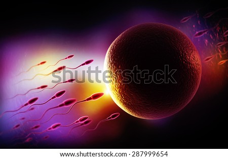 Sperm and Egg