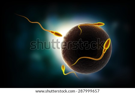 Sperm and Egg