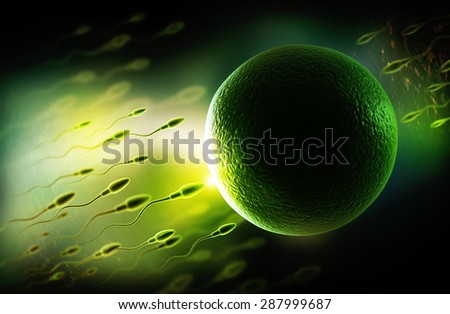 Sperm and Egg