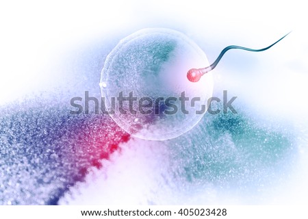 sperm and egg cell