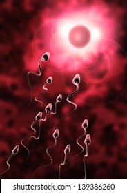 sperm and egg cell - Natural insemination -