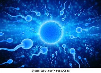 Sperm And Egg Cell On Scientific, Medical Background. Human Reproduction Concept. 3d Illustration