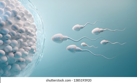 Sperm and egg cell.Natural fertilization.3d illustration on blue background