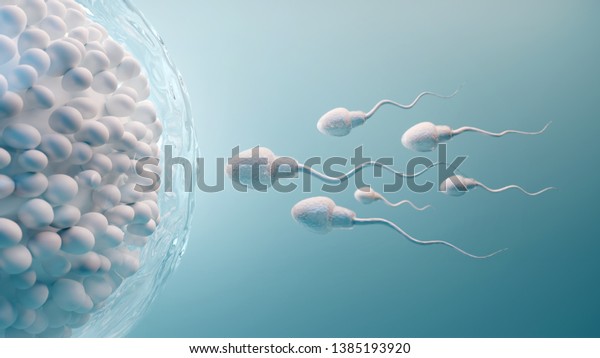 青の背景に精子と卵細胞 自然受精 3dイラスト のイラスト素材