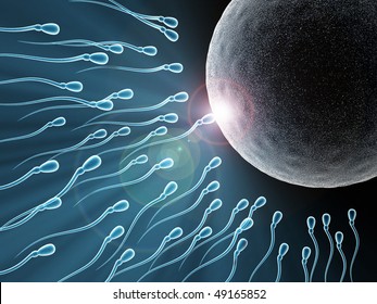 picture sperm going in the egg Full length pissing videos