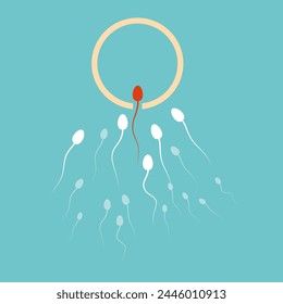sperm struggle to conquer the human egg