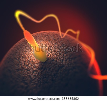 A sperm trying to enter the ovule. Image concept of human reproduction.