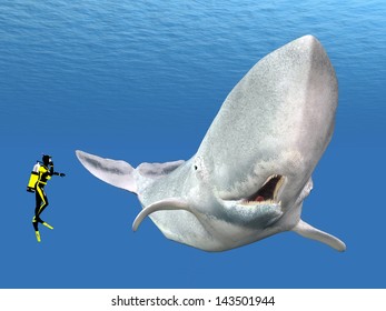 Sperm Whale and Diver Computer generated 3D illustration