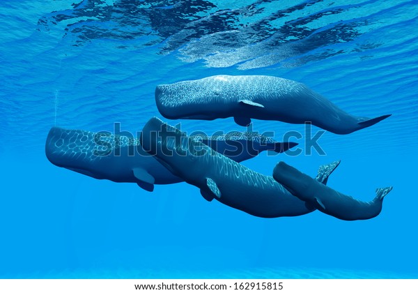 マッコウクジラファミリー マッコウクジラファミリーが一緒に泳ぎ 両者の間で密接な絆を結びます のイラスト素材