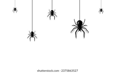 Spider Border Isolation White Background 