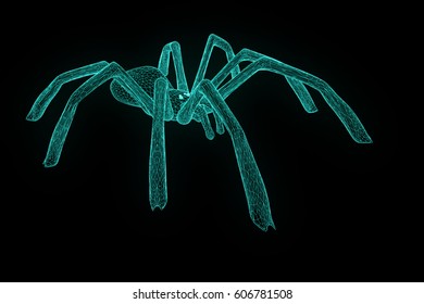 Spider Hologram Wireframe Style Nice 3d Stock Illustration 606781460 ...